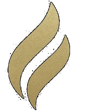 Arqon Tax flame logo